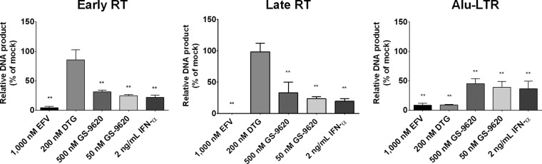 FIG 6