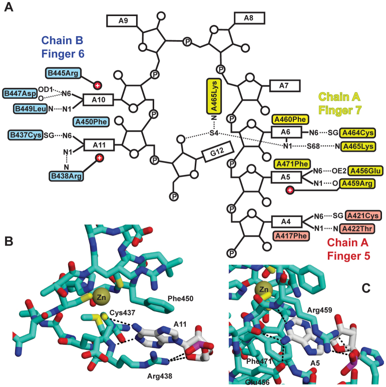 Figure 4.