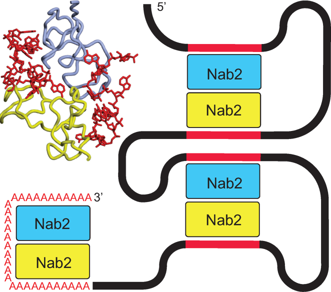 Figure 7.