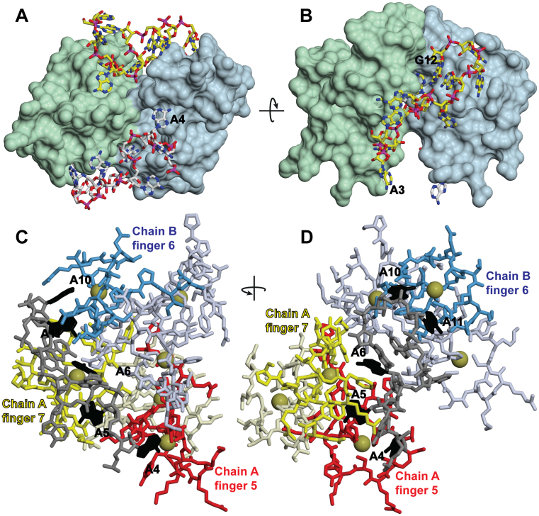 Figure 3.