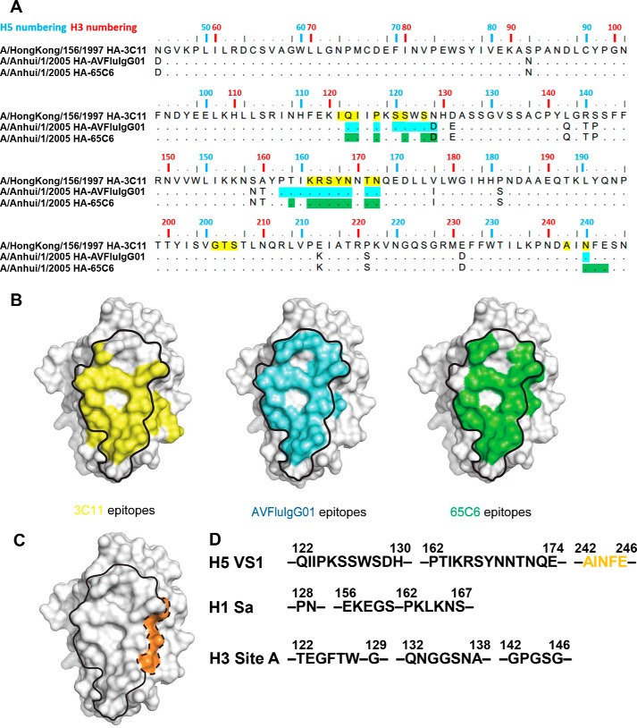 Figure 3.