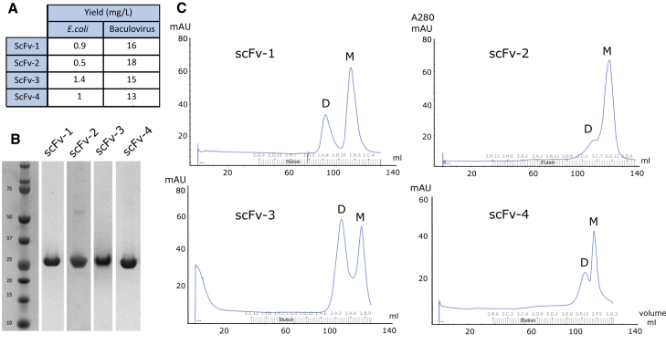 Figure 2