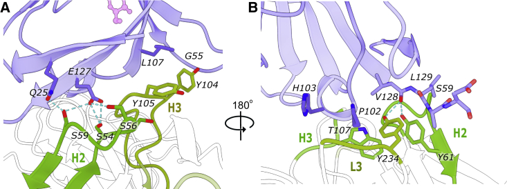 Figure 5