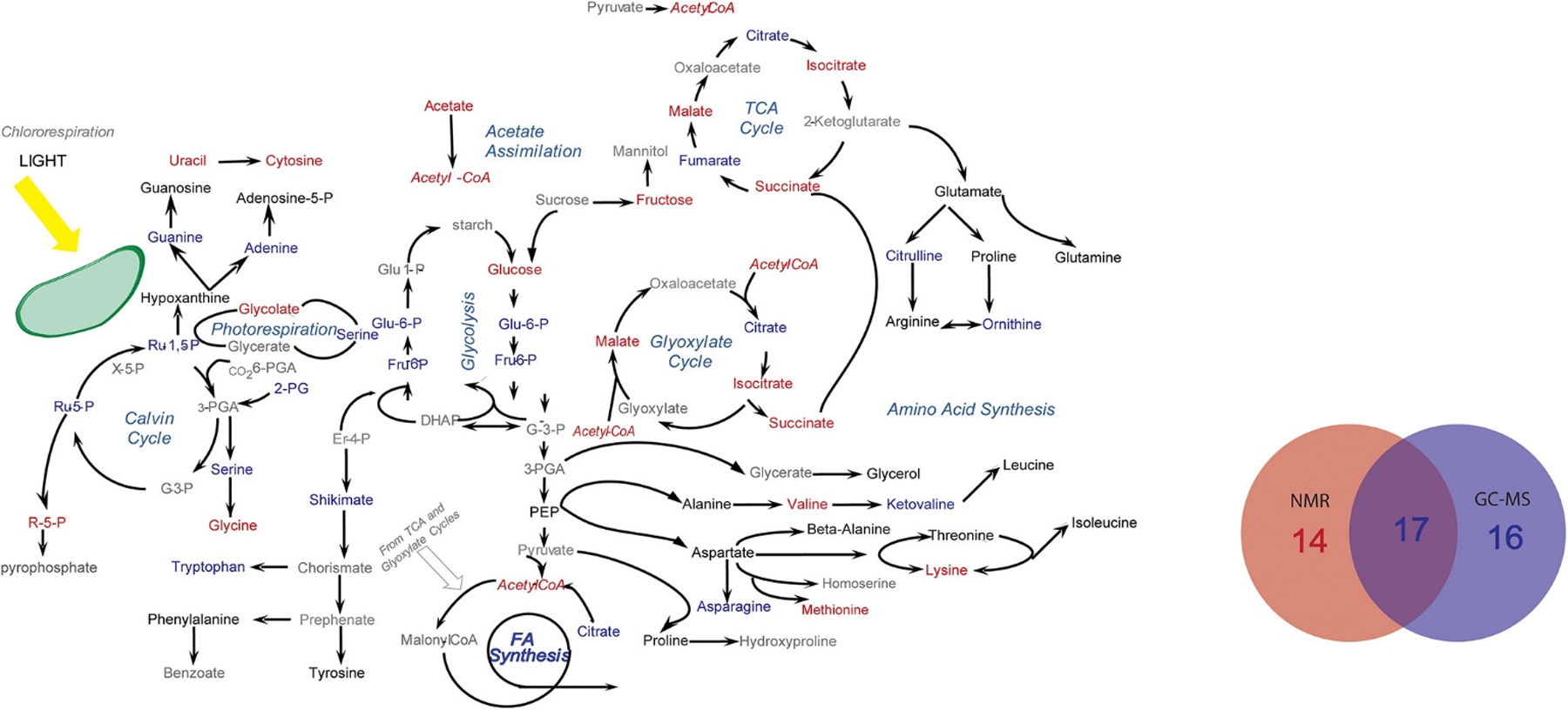 Figure 4.