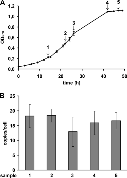 FIG. 2.