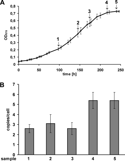 FIG. 3.