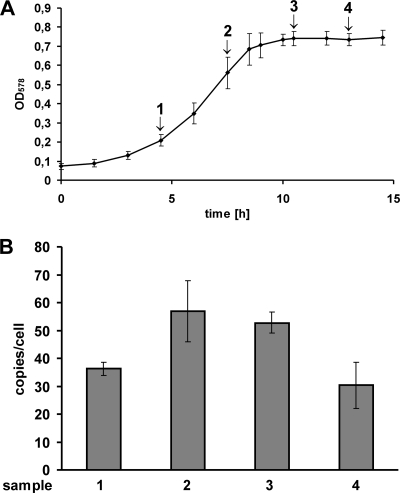 FIG. 4.