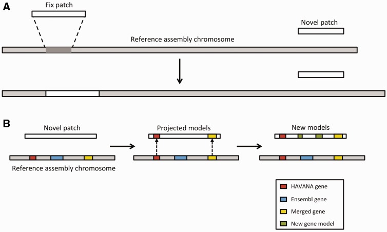 Figure 7.