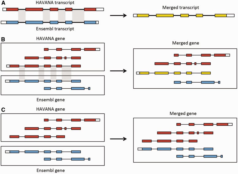 Figure 6.