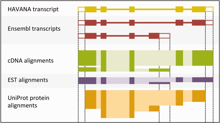 Figure 4.