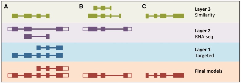 Figure 5.