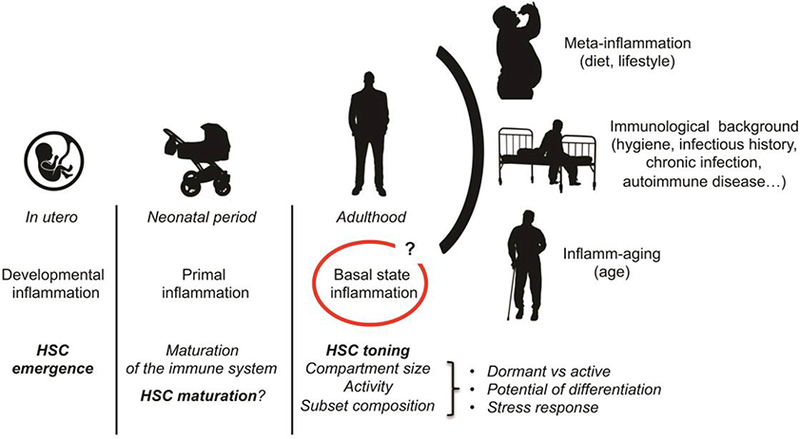 Fig. 2: