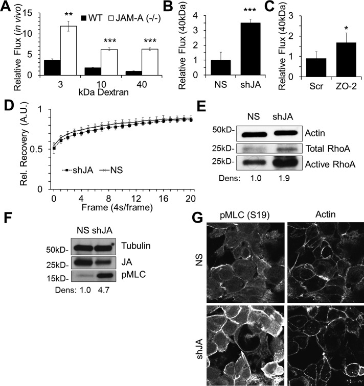 FIGURE 6: