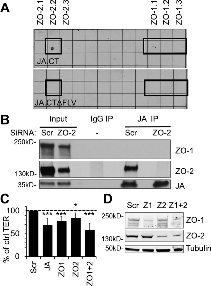 FIGURE 2: