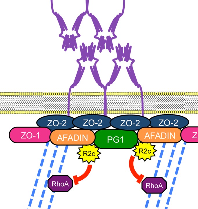 FIGURE 7: