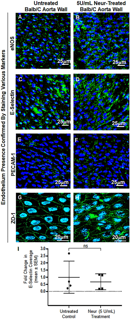 Figure 6: