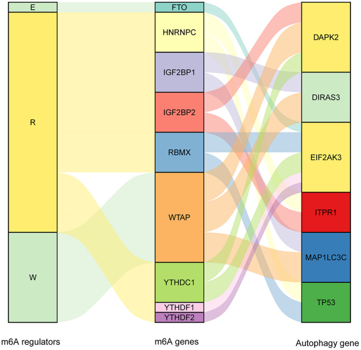 FIGURE 7