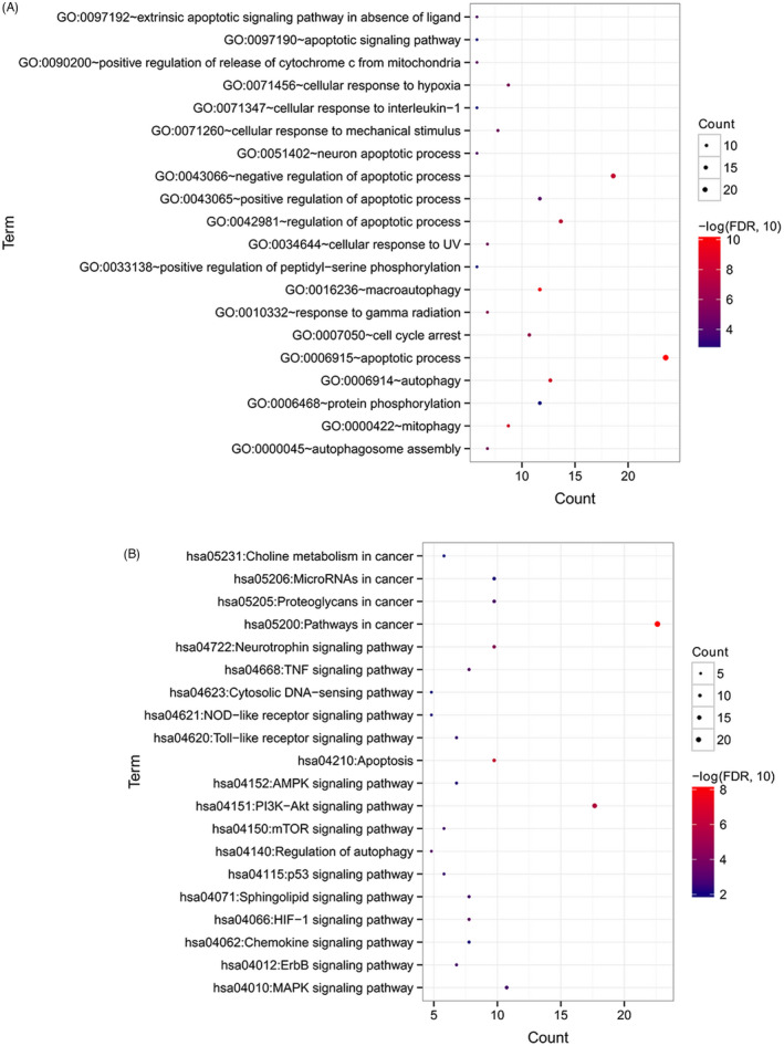 FIGURE 3