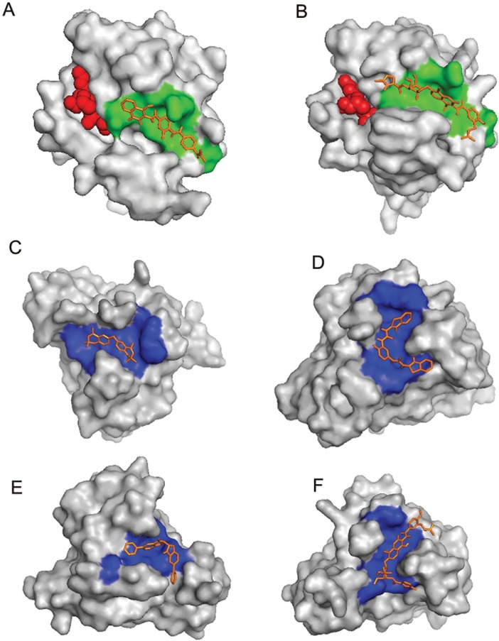 Fig 3