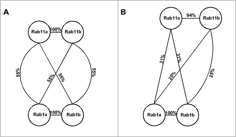 Fig 11