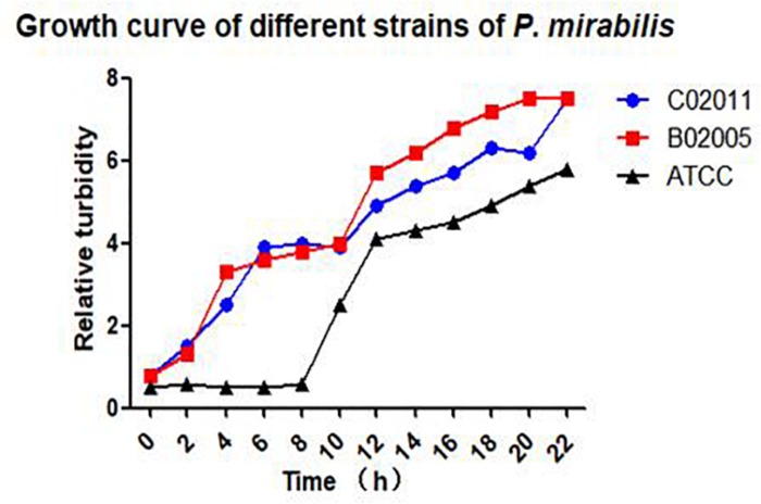 FIGURE 1