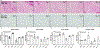Extended Data Fig. 3