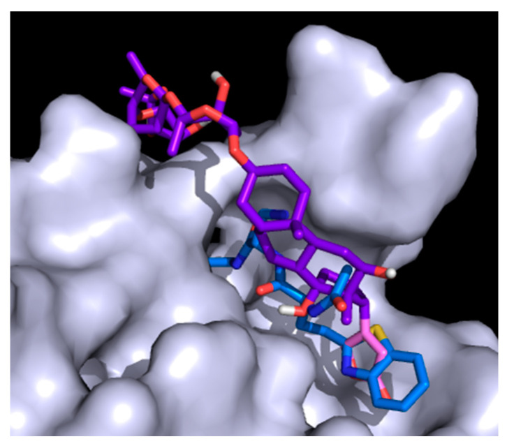 Figure 7