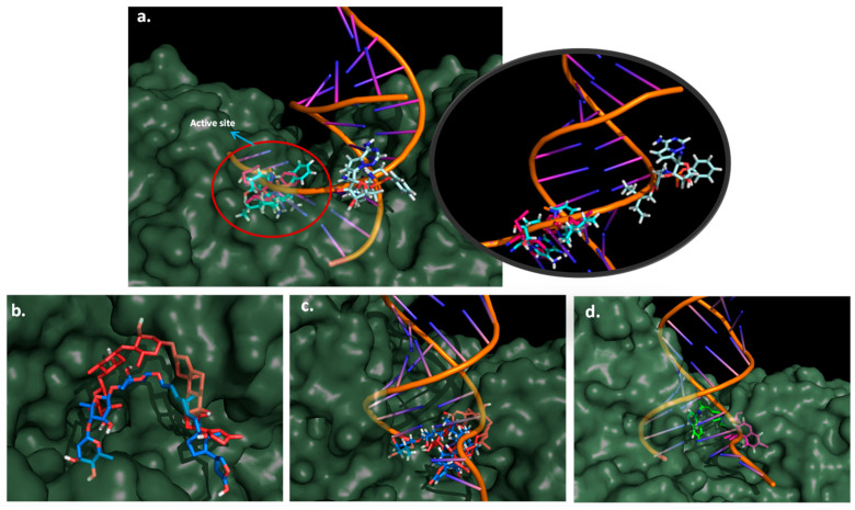 Figure 11