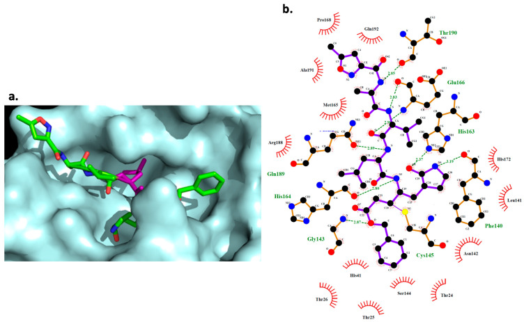 Figure 6