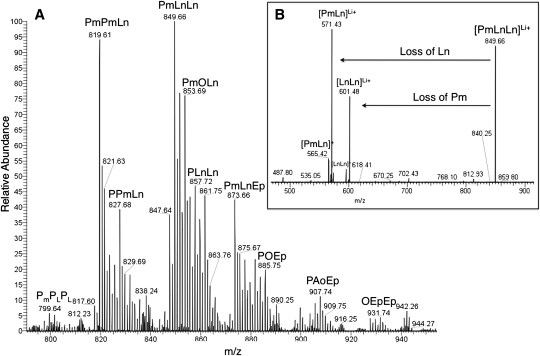 Fig. 4.