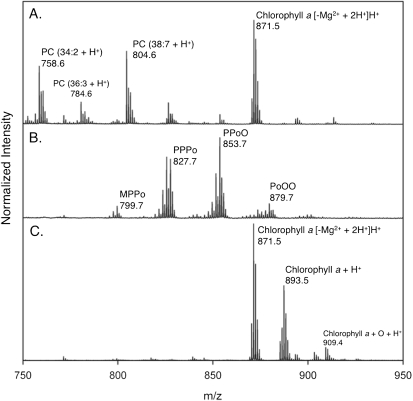 Fig. 2.