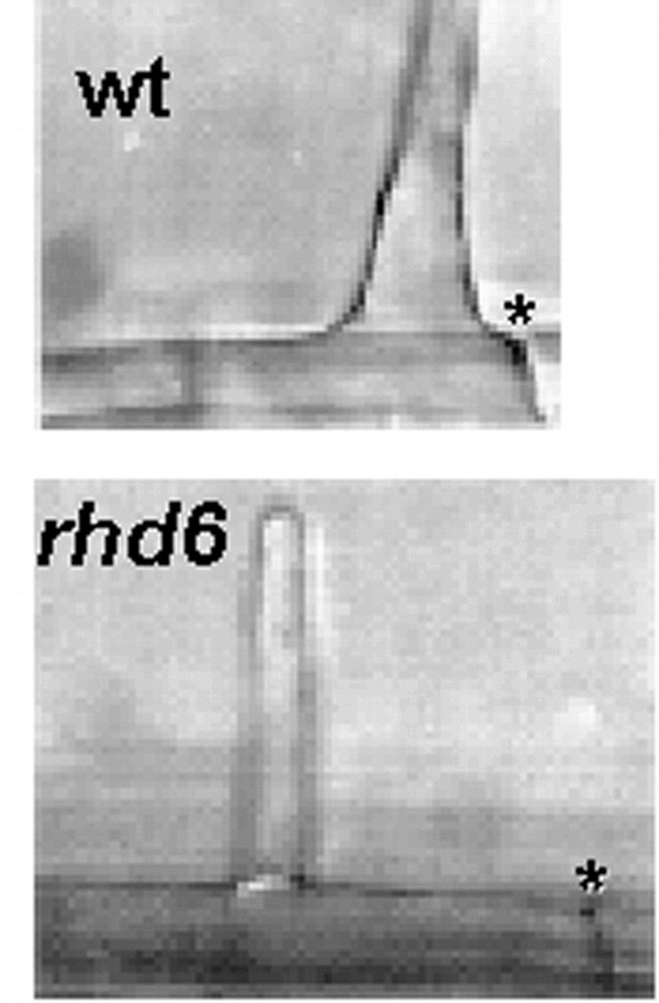 Figure 17.