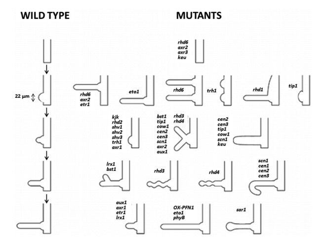 Figure 16.