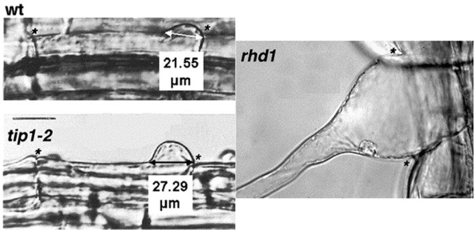 Figure 18.