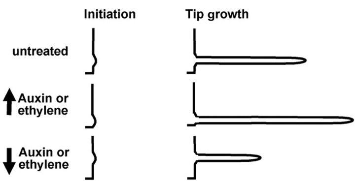 Figure 20.