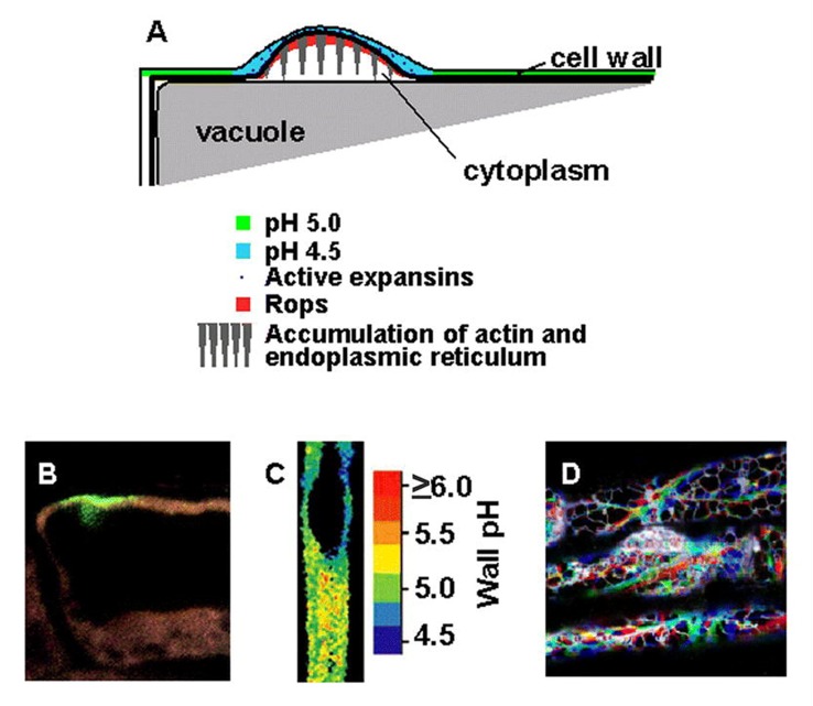 Figure 12.