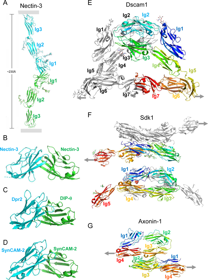 Figure 3.