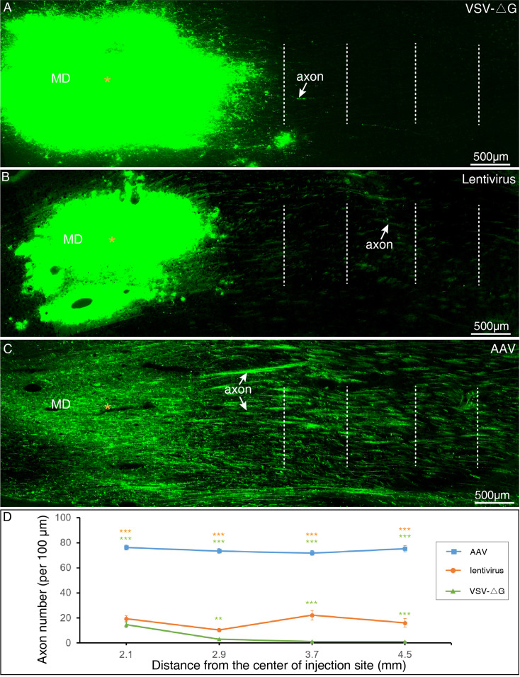 Figure 2—figure supplement 7.