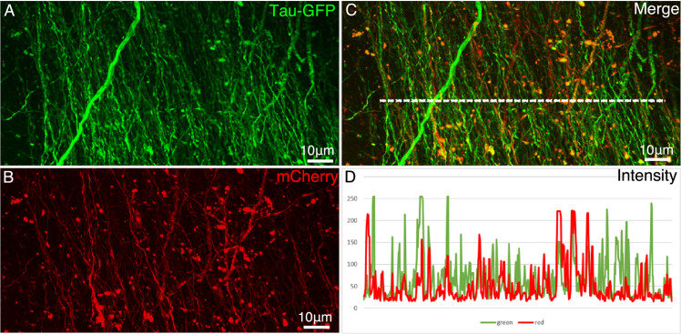 Figure 2—figure supplement 6.