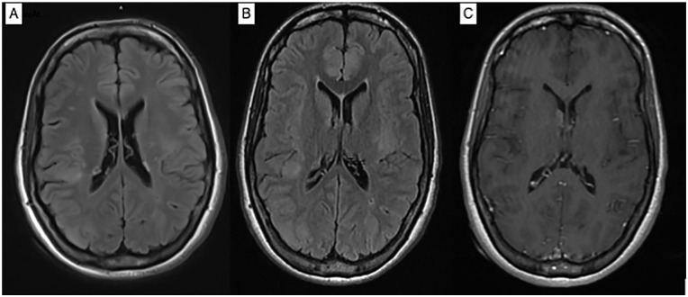 Figure 1.