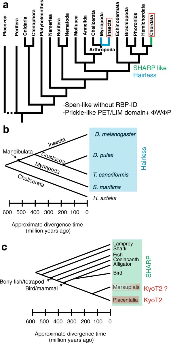 Fig. 11