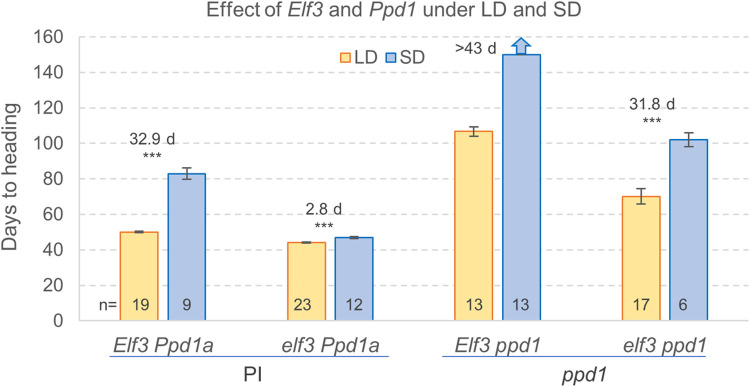 Fig 5