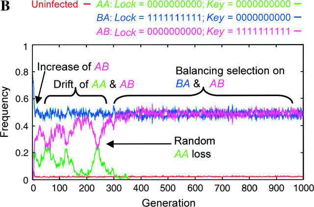 Figure 6.—