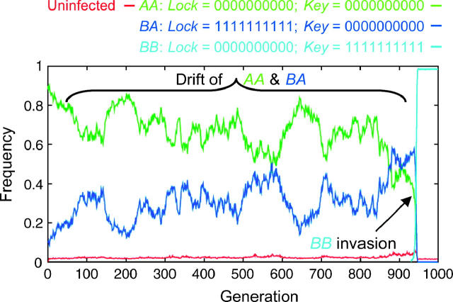 Figure 5.—