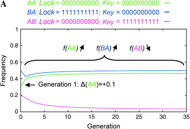 Figure 7.—