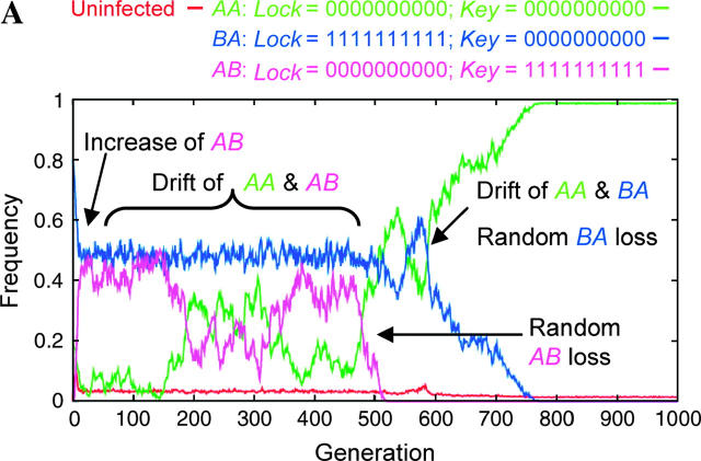 Figure 6.—