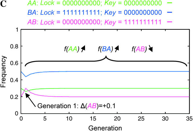 Figure 7.—