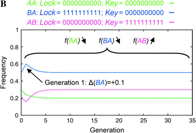 Figure 7.—