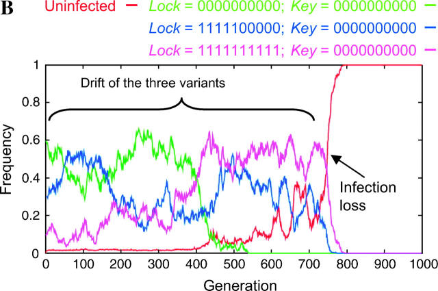 Figure 4.—