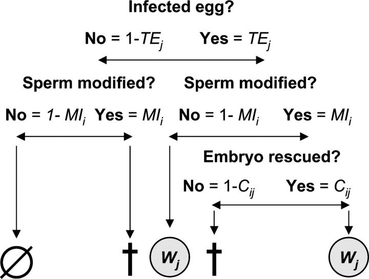 Figure 1.—